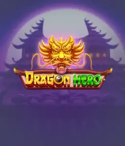Embark on a legendary quest with the Dragon Hero game by Pragmatic Play, highlighting breathtaking graphics of mighty dragons and epic encounters. Explore a world where magic meets thrill, with featuring treasures, mystical creatures, and enchanted weapons for a thrilling adventure.
